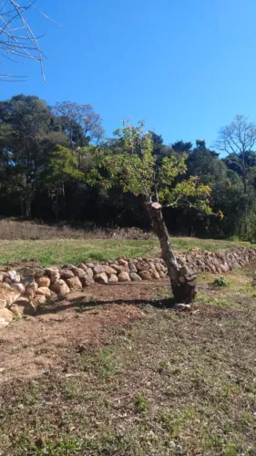 Chácara