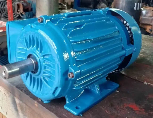 Motor weg blindado monofásico 220v elevador automotivo