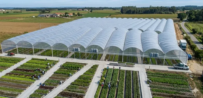 Oportunidade Única: Estufa Agrícola Zanna Trel Slim P - 11.880m² | Máxima Proteção 