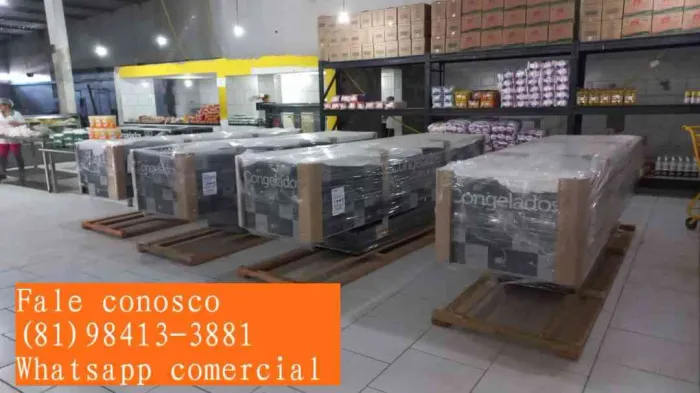 Expositor Refrigerado ilha para congelados em até 10x sem juros no cartão 