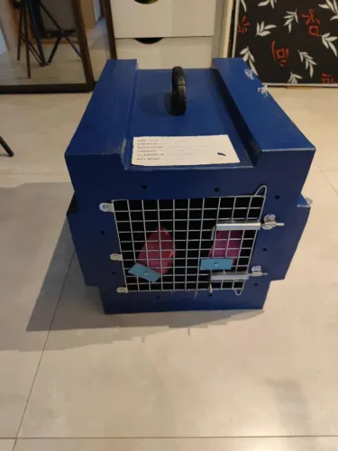 Caixa de transporte para animais 