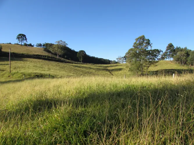 Sitio com 7,5 alqueires em Joanopolis SP alto da montanha