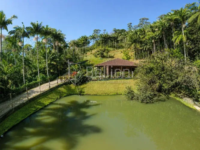Sítio à Venda em Timbó com 30.000 m², Lagoas e Nascente