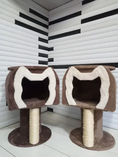 Casinhas para gatos de médio porte