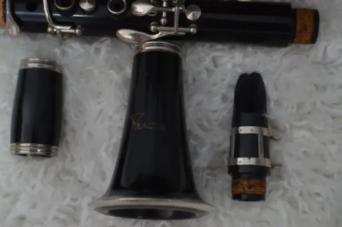Clarinete Si Bemol Eagle em Resina ((( Show ))