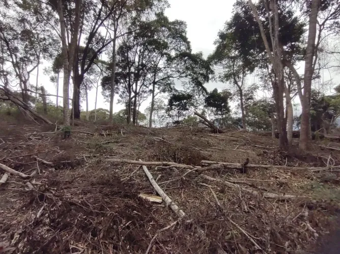 Terreno à venda, 1791 m² em condomínio fechado - Braunes - Nova Friburgo/RJ
