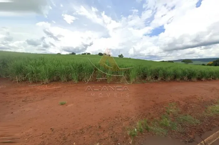 Sítio - Cravinhos - Zona Rural