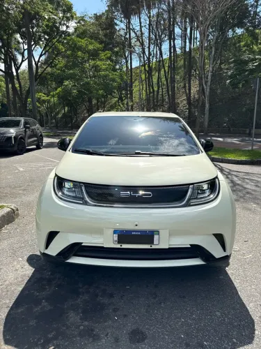BYD Dolphin EV (Elétrico) 2024