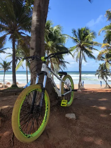 BIKE BRUTUS PRO ARO 26