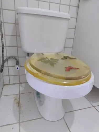 Vaso sanitário acoplado com assento sanitários em acrílico