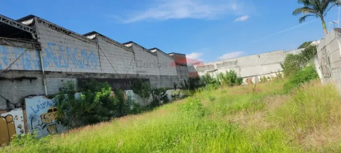 Terreno Casa Verde Alta 1.575m plano a 100m da Avenida Engenheiro Caetano