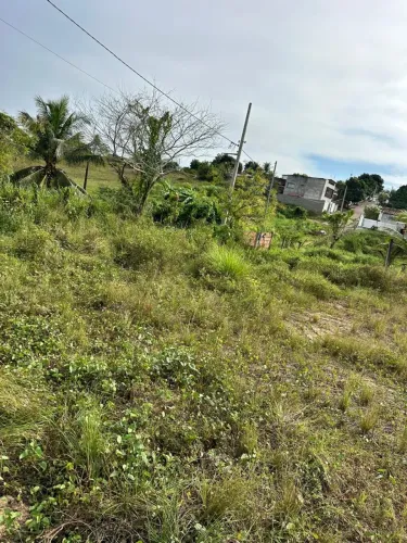 TERRENO 10x25