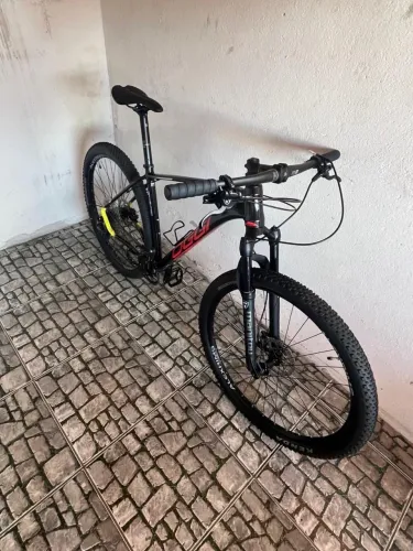 Oggi 7.3