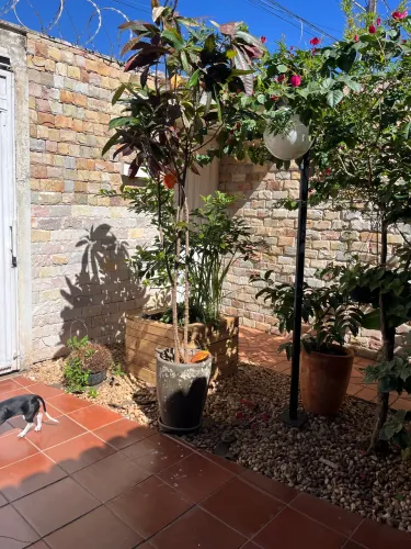 Plantas