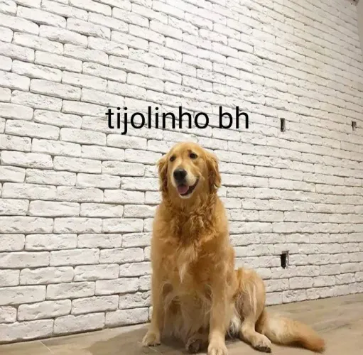 Tijolinho Rústico. Por apenas R$35,00