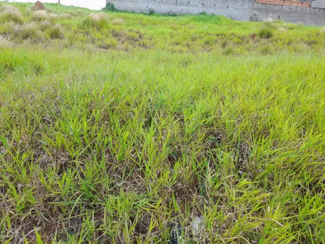 Vendo terreno em cacapava.
