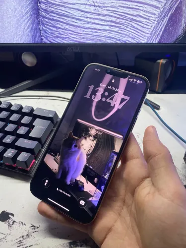 iPhone 13 pro max