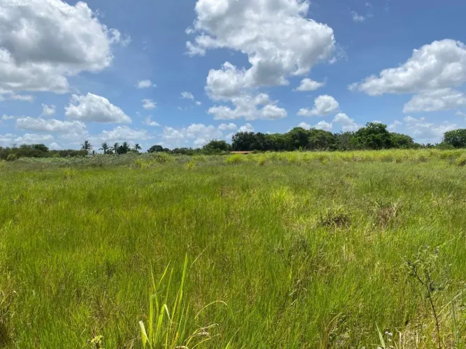 Fazenda para Venda em São Gonçalo dos Campos, Rosário, 2 dormitórios, 1 suíte, 2 banheiros