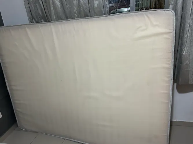 box casal