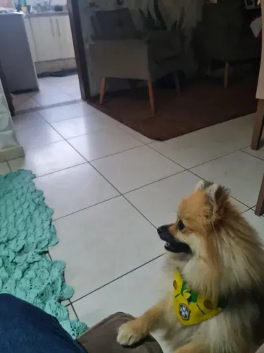 Lulu 
