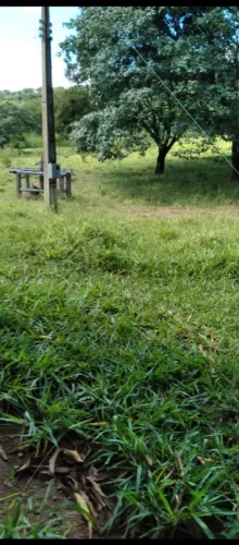 Aluga-se pasto