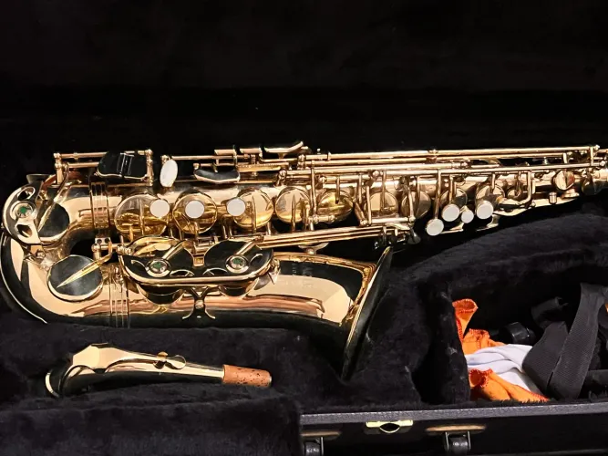 Saxofone Alto Eagle 0406 - Excelente Estado | Pronto para Tocar