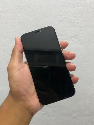 iPhone 11 com problema na Placa e tela queimada