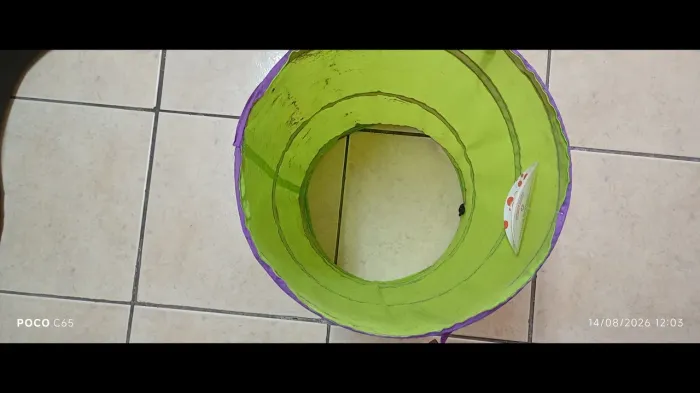 TÚNEL CAT 55 CM
