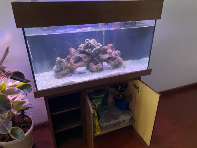 Aquario 200 litros com mini sump lateral + móvel e tampa