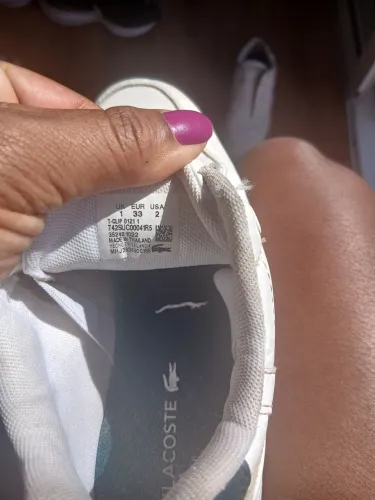 Tenis lacoste original