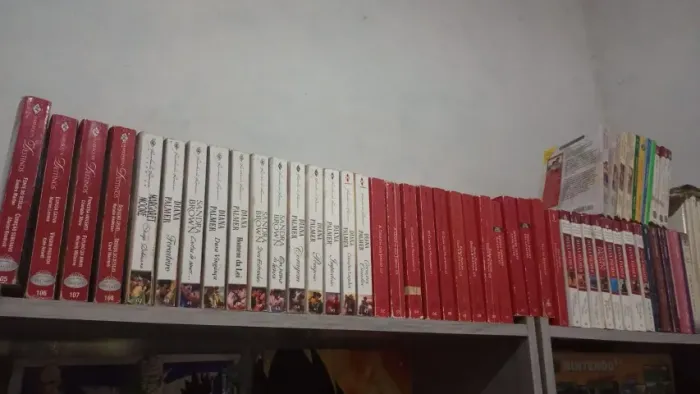 Coleção com 53 volumes de Romances da editora Harlequin e Nova Cultural. Diversos autores.