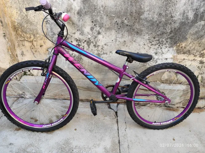 Bicicleta Aro 24