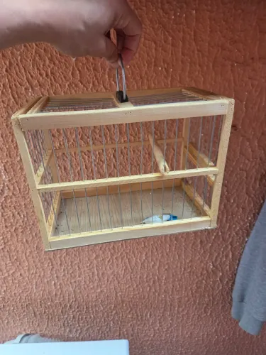 Gaiola