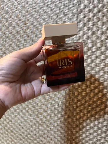Avatim íris rose