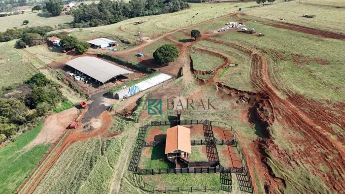 Sítio com 3 dormitórios à venda, 532400 m² por R$ 11.400.000,00 - Centro - Mandaguari/PR
