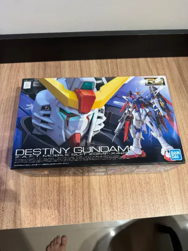 Gundam RG Destiny Gundam Model Kit
