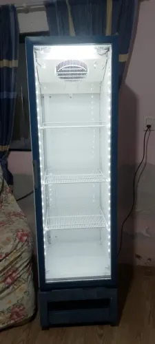Vendo freezer expositor 300lts 110 vts valor 1.900  *39