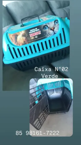 Caixa para Pet