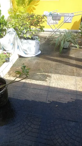 Limpeza de quintal,a domicílio..é só entrar em contato * zap q estou às ordens..