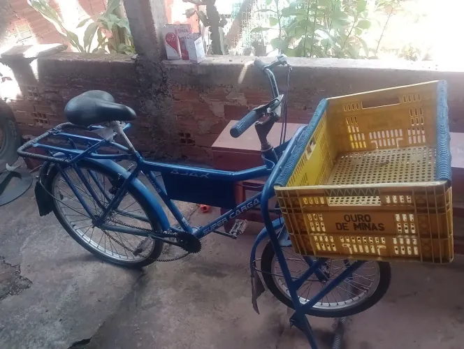 Bicicleta cargueira 