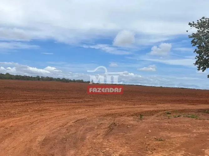 Fazenda 183 Alqueires (885,7 Hectares) Figueiropolis -TO