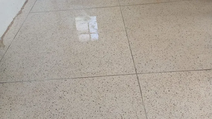 Piso de granitina