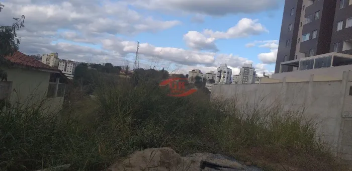 Lote à venda, Palmeiras - Belo Horizonte/MG