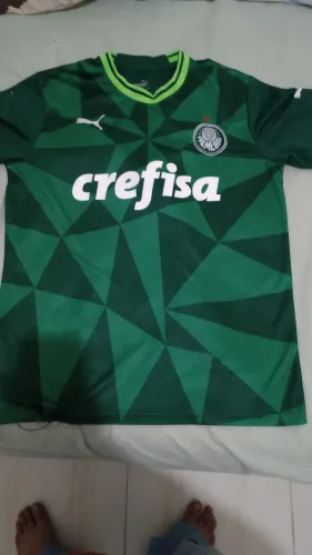 Camisa Palmeiras 2024