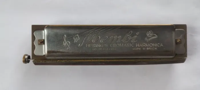 Gaita harmonica Membi