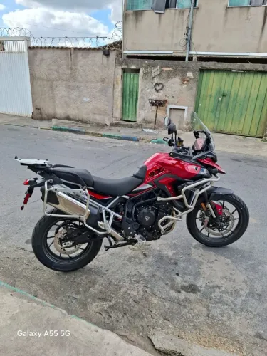 Tiger 900 GT PRO 2024