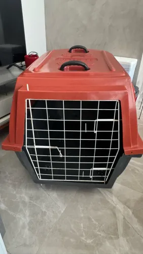 Caixa de transporte para pet n5