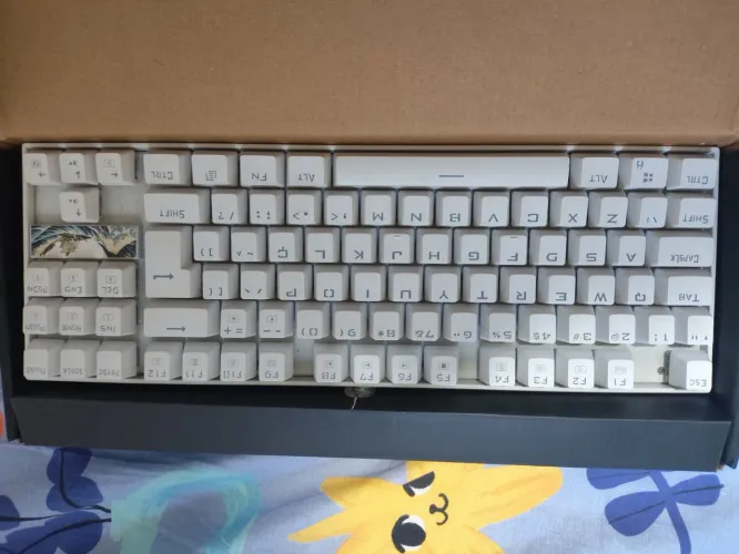 Teclado mecânico gamer KUMARA PRO