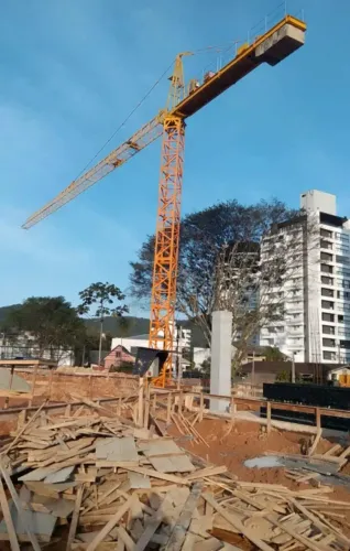 Gruas Liz metal fixa ou ascensional 36m de lança