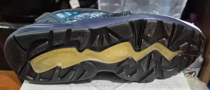 Puma Disc dos EUA
